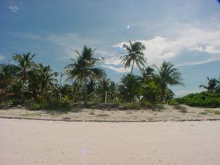 Eleuthera Bahamas beachfront villas for sale