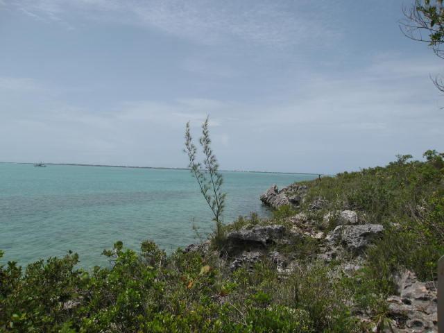 North Eleuthera Bahamas real estate