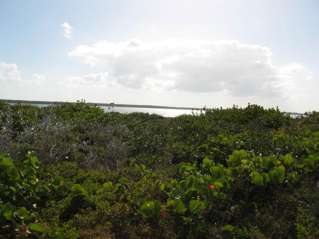 Eleuthera Bahamas real estate 2