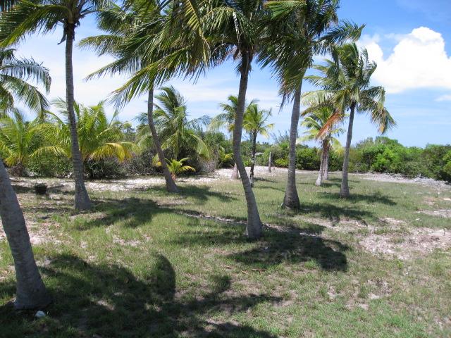 bahamas private islands for sale