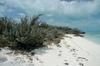 North Eleuthera Bahamas private islands for sale North Eleuthera Bahamas private islands for sale