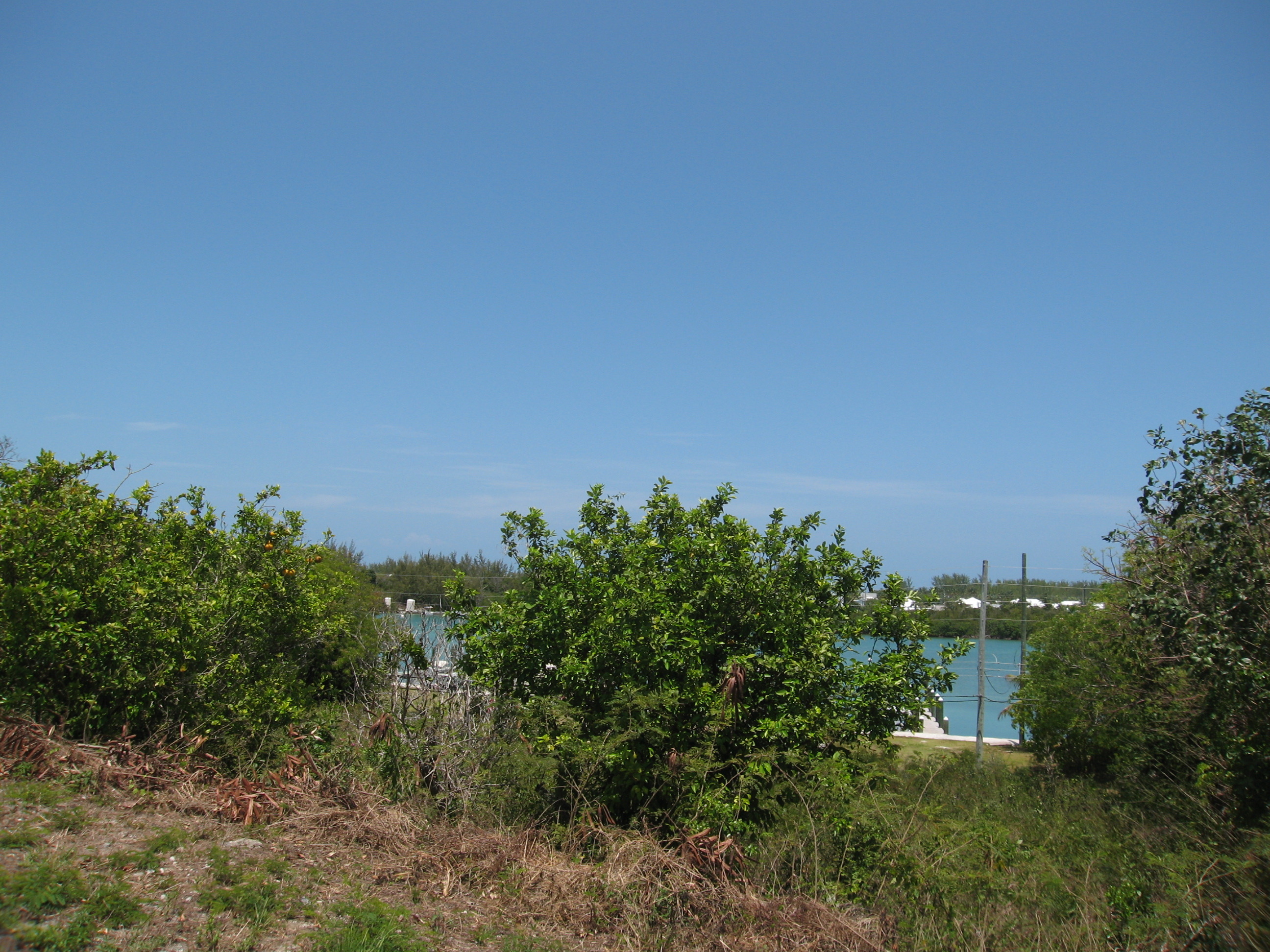 RUSSELL ISLAND BAHAMAS REAL ESTATE SALES 