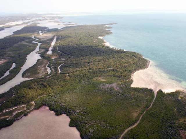 Berry Islands Bahamas  : Private islands for sale 
