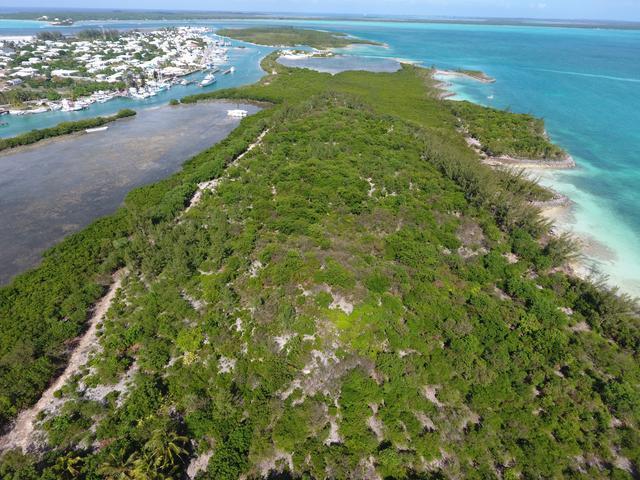 Russell Island water front acreage 